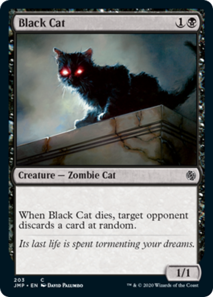 Black Cat Card Image