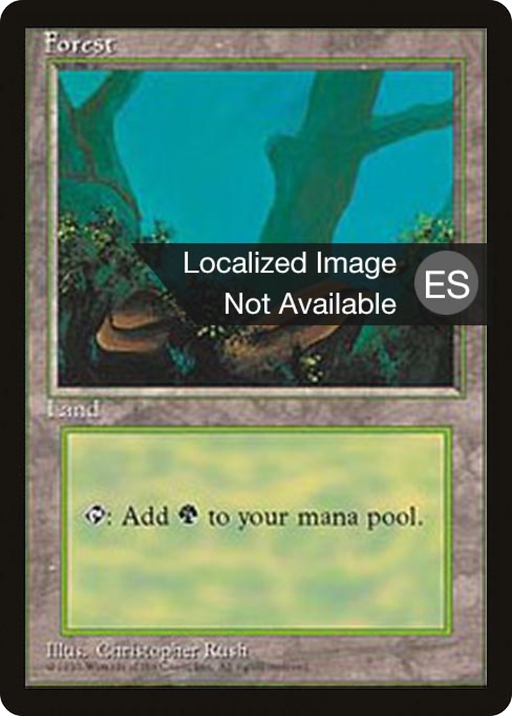 Forest Card Image