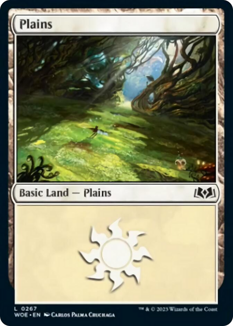 Plains Card Image