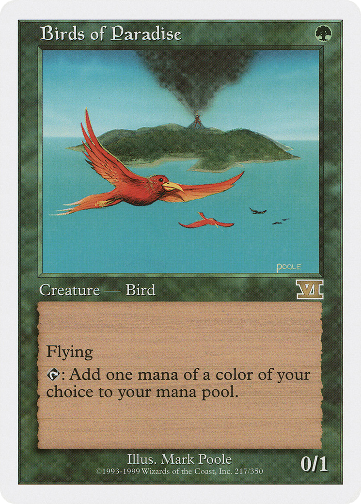 Birds of Paradise Card Image