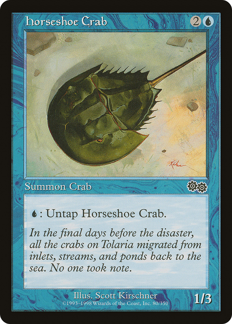 Horseshoe Crab Card Image