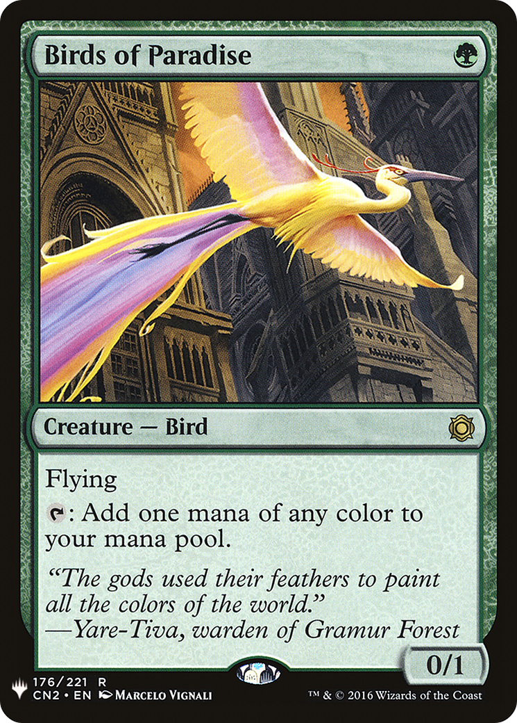 Birds of Paradise Card Image