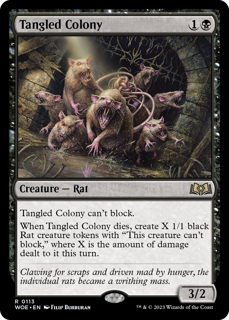 Tangled Colony Card Image