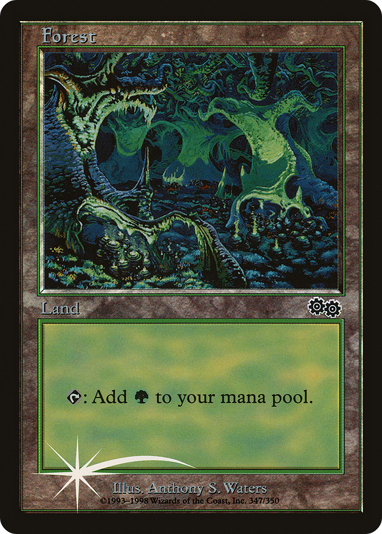 Forest Card Image