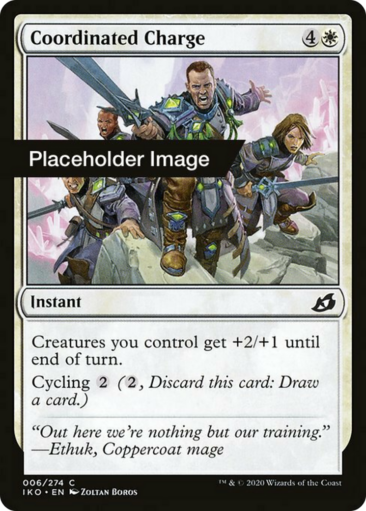 Coordinated Charge Card Image