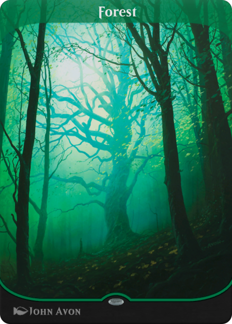 Forest Card Image