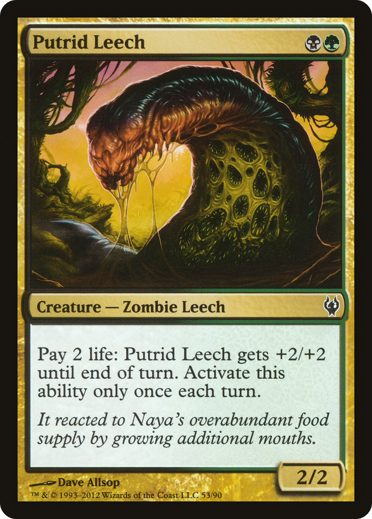 Putrid Leech Card Image