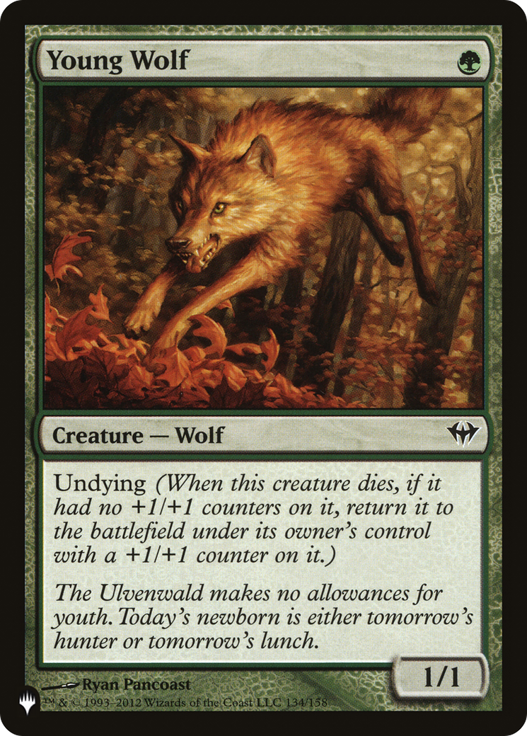 Young Wolf Card Image
