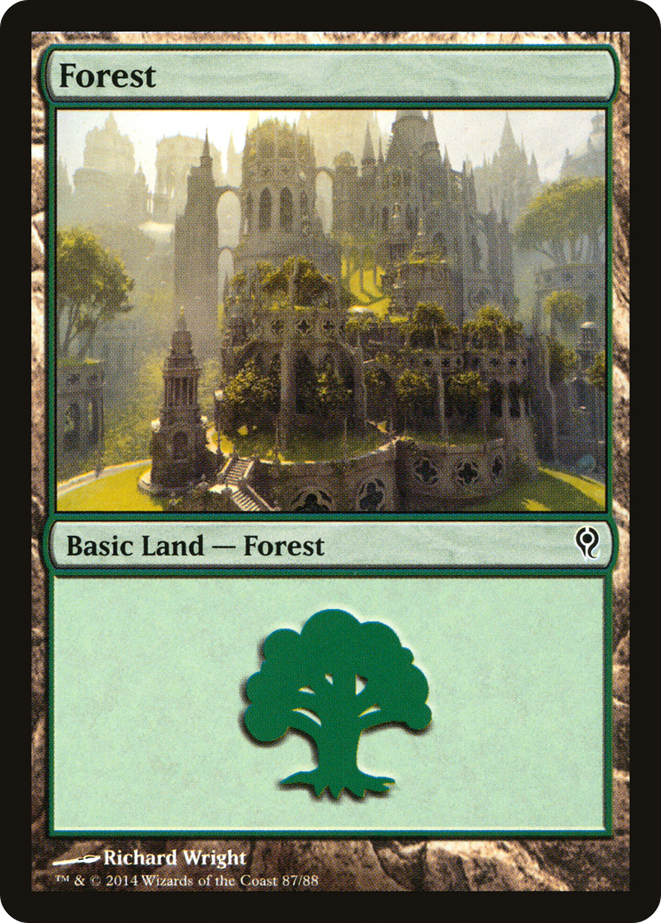 Forest Card Image