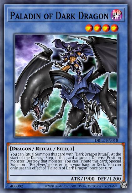 Paladin of Dark Dragon Card Image