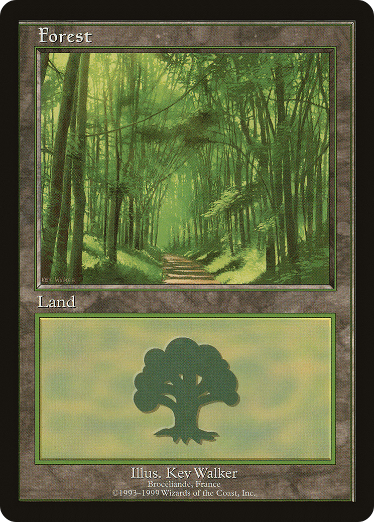 Forest Card Image