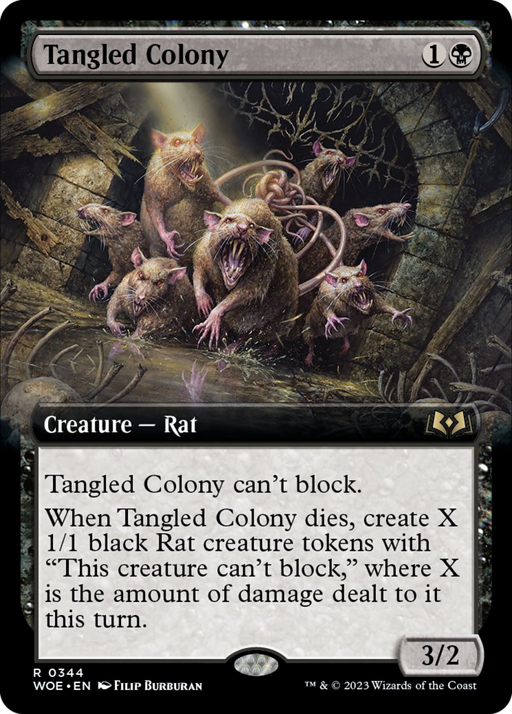 Tangled Colony Card Image