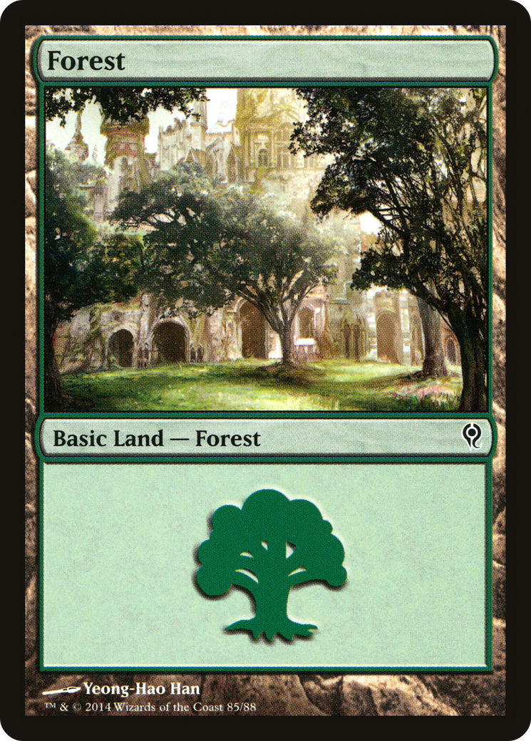 Forest Card Image