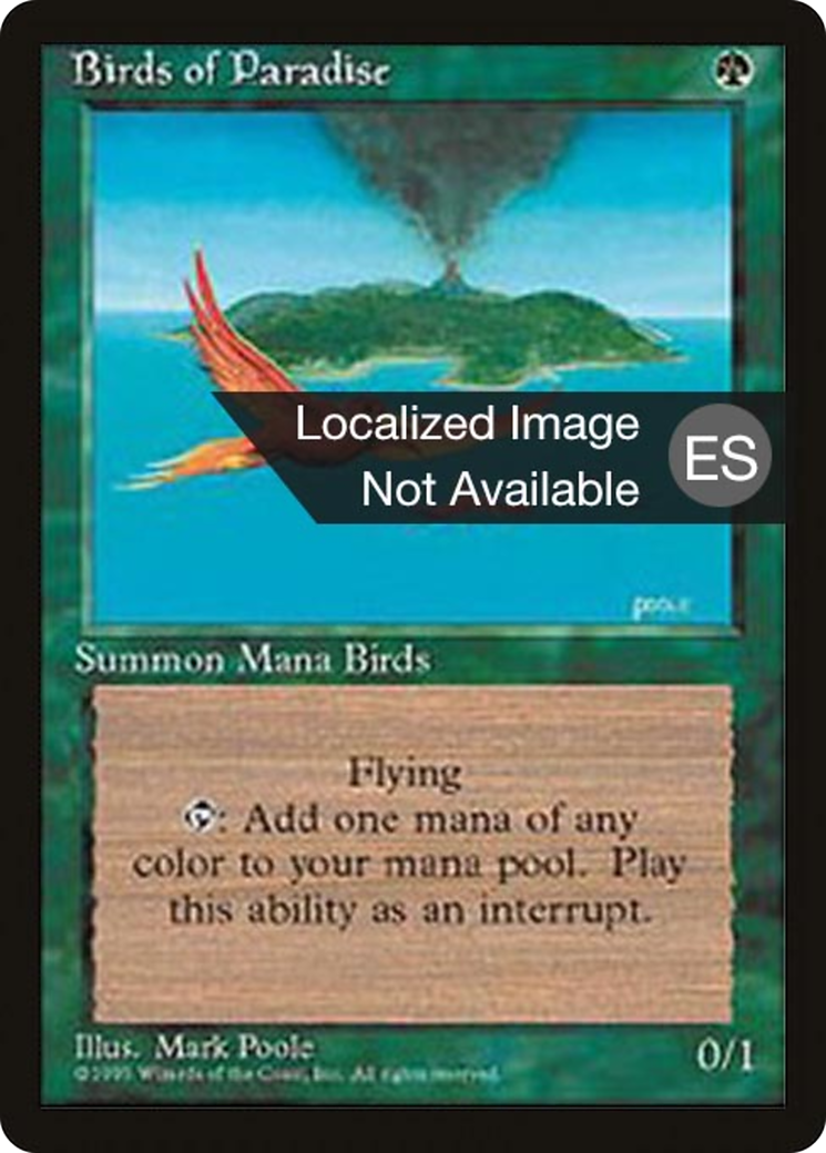 Birds of Paradise Card Image