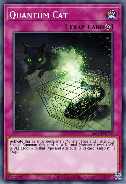 Quantum Cat Card Image