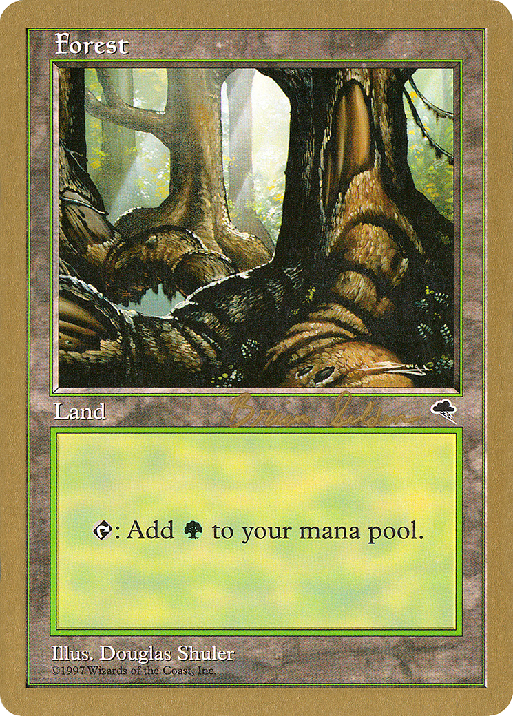 Forest Card Image