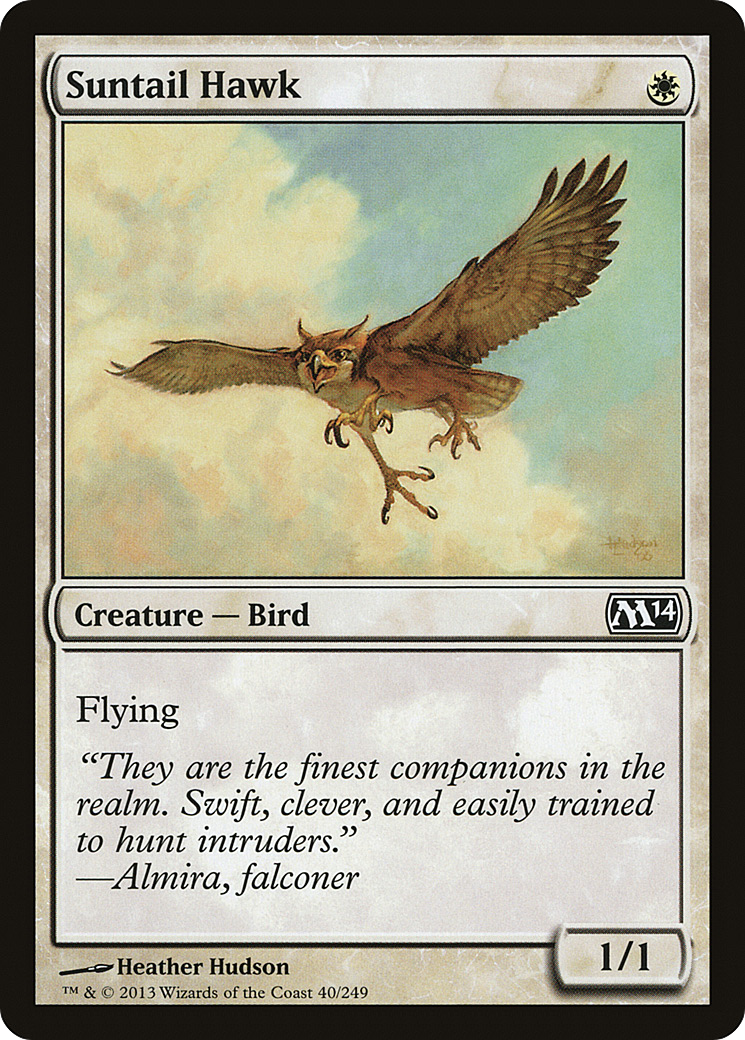 Suntail Hawk Card Image