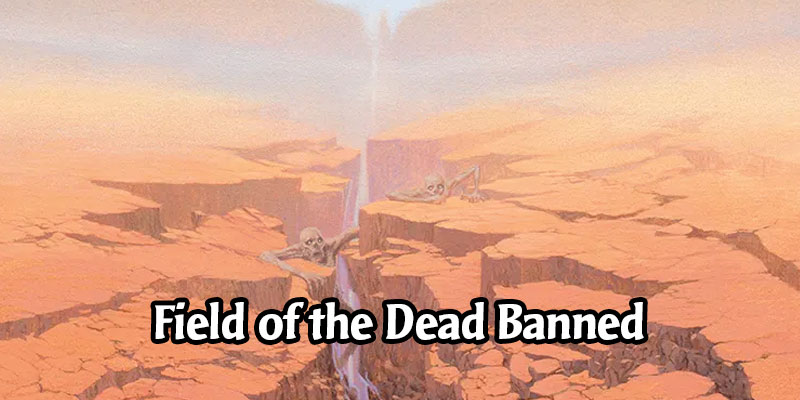 Field of the Dead is Now Banned in Historic