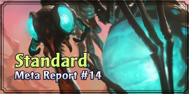 Standard Meta Report #14 - November 24, 2019 - December 1, 2019