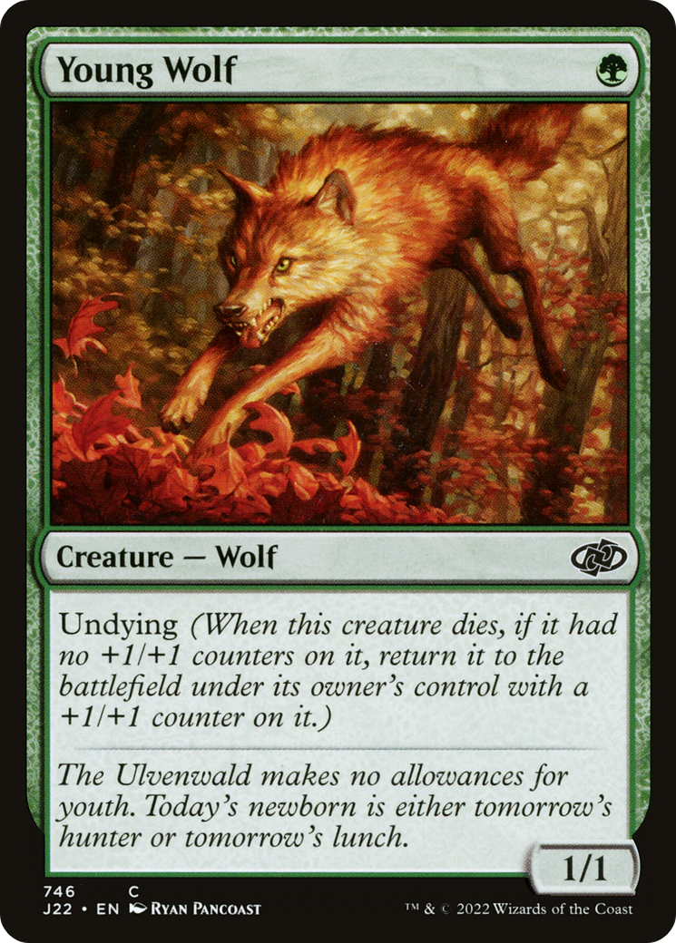 Young Wolf Card Image