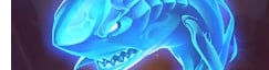 Spirit of the Shark