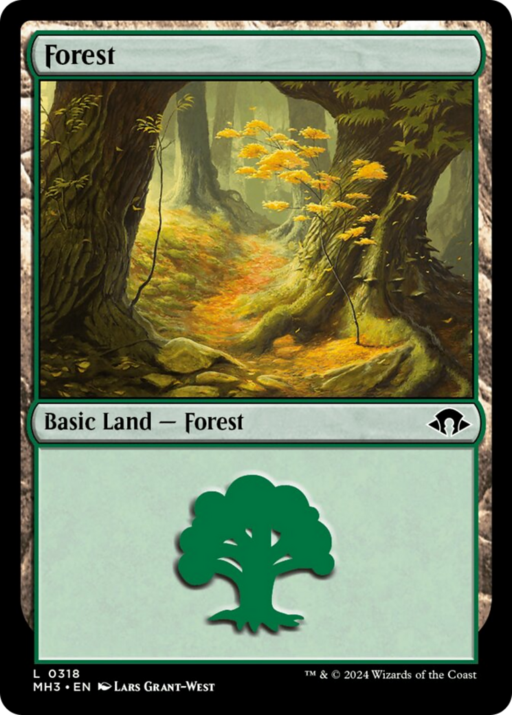 Forest Card Image