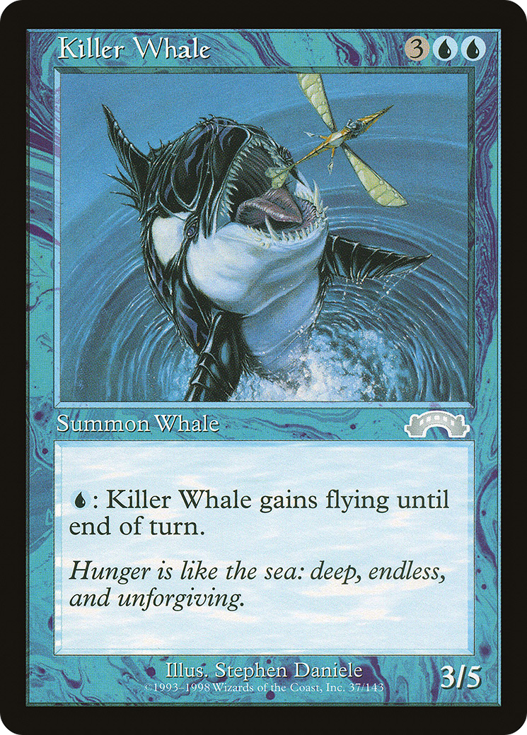 Killer Whale Card Image