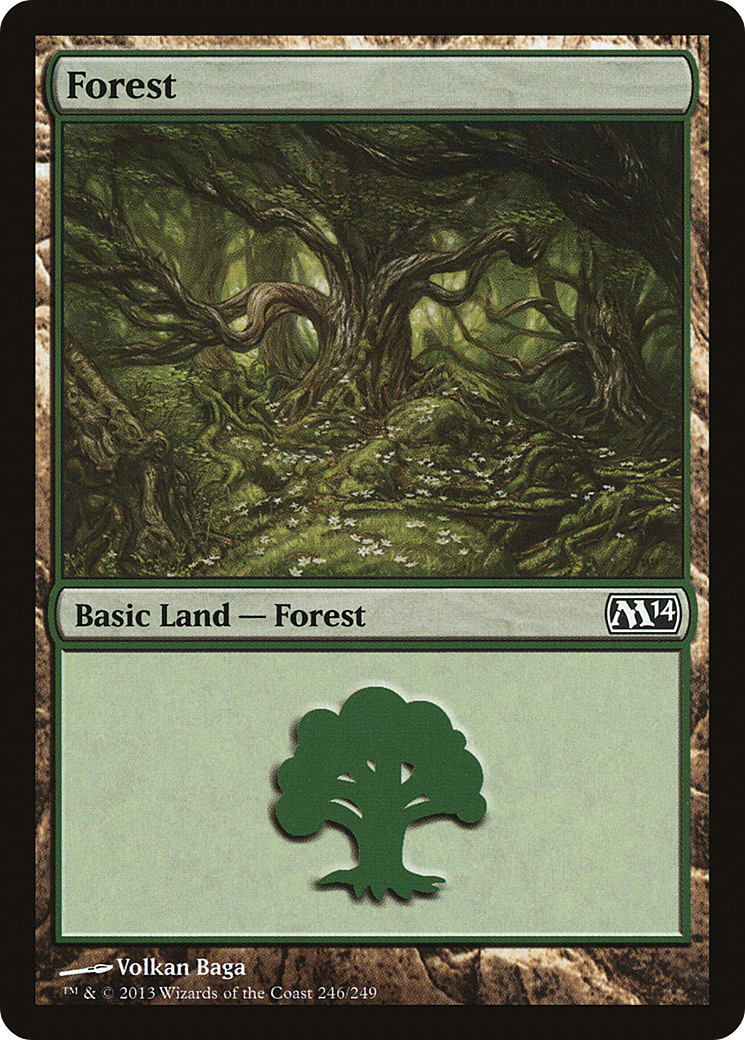 Forest Card Image