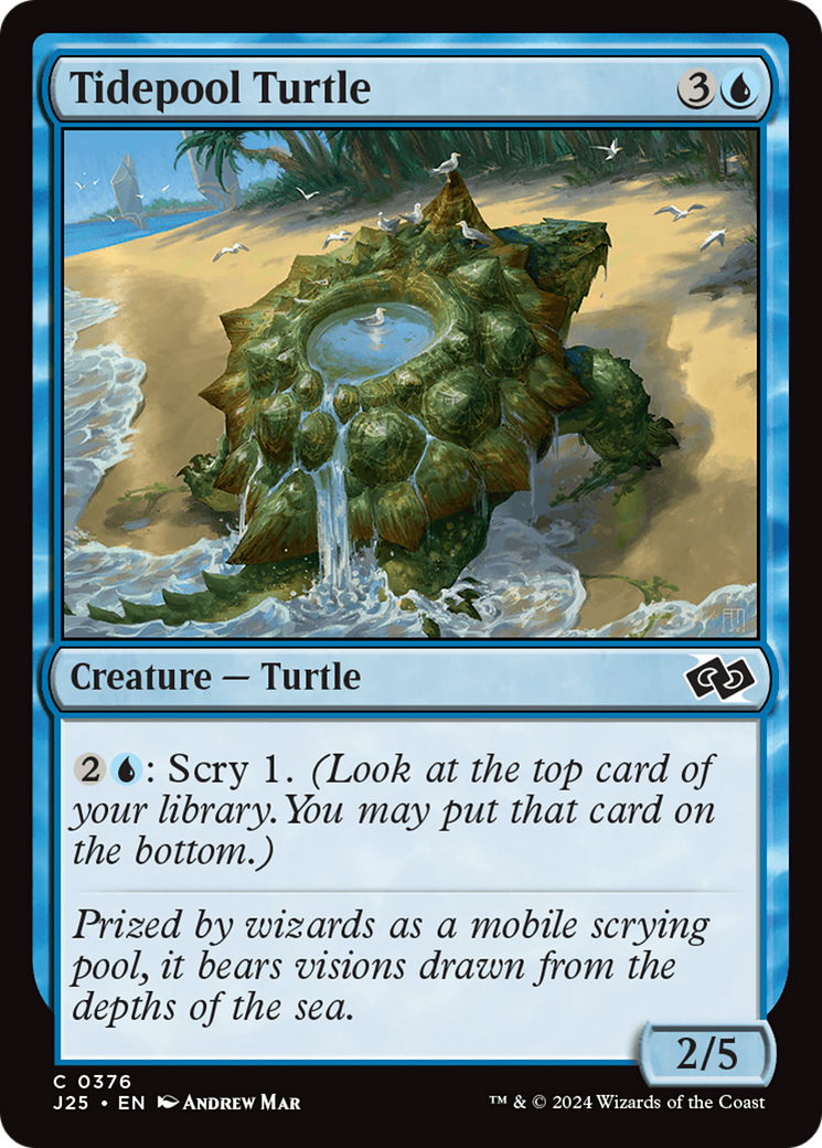 Tidepool Turtle Card Image