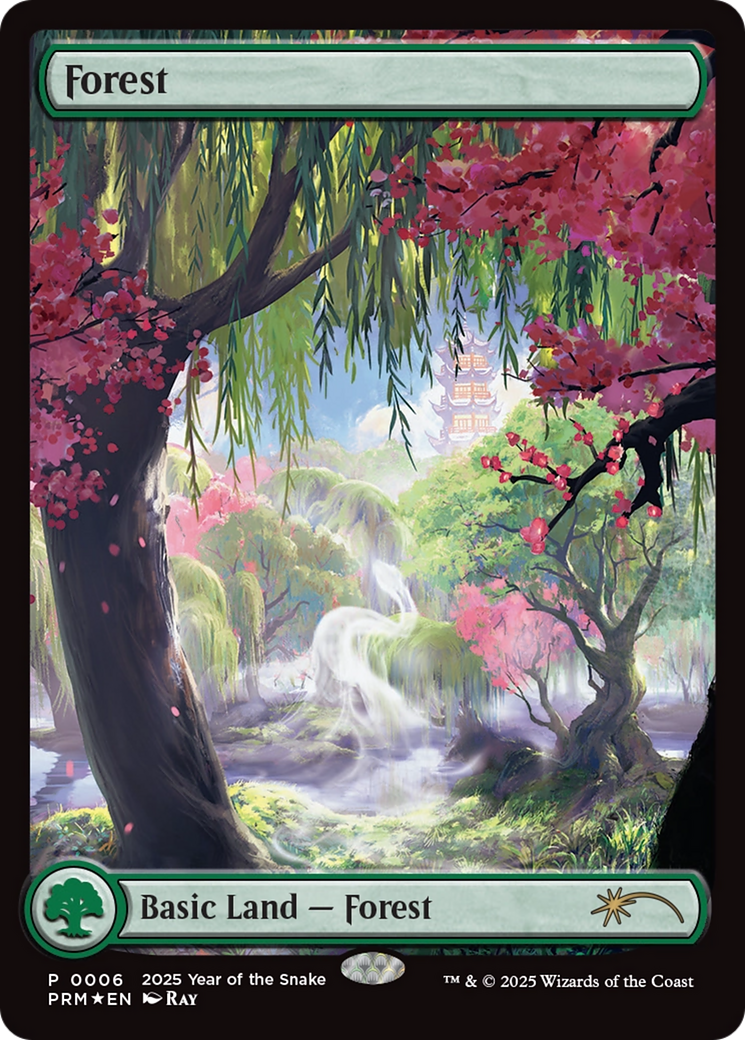 Forest Card Image