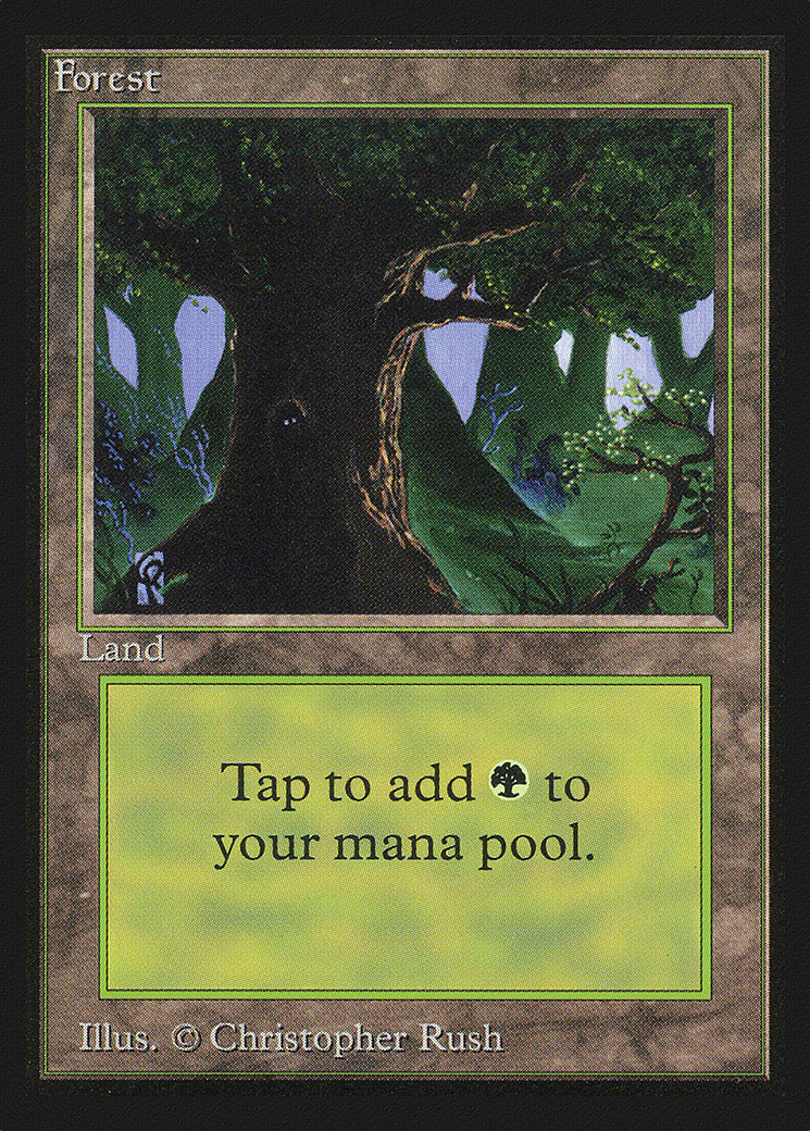 Forest Card Image