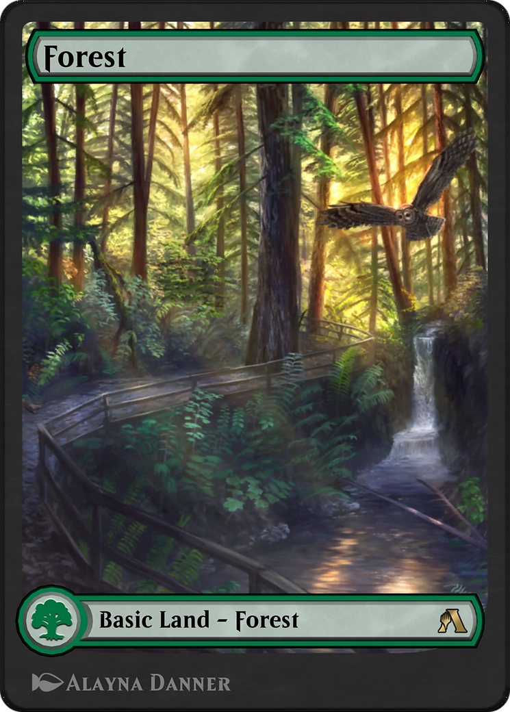 Forest Card Image