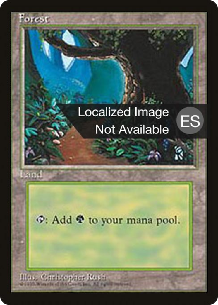 Forest Card Image