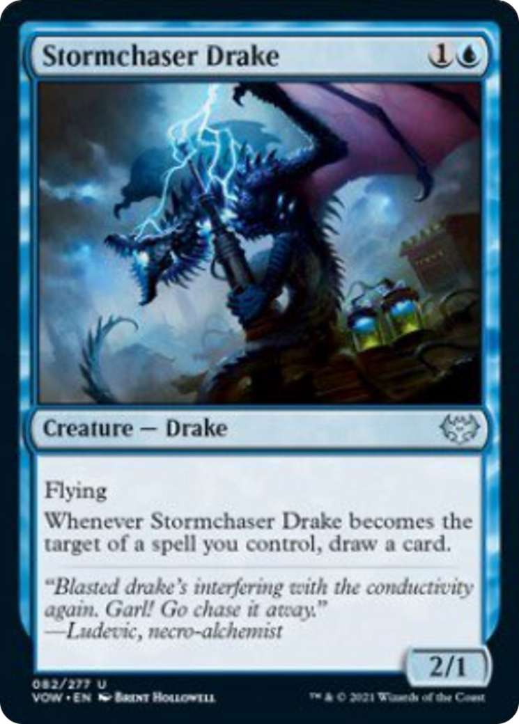 Stormchaser Drake Card Image
