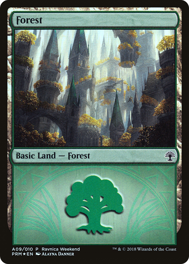 Forest Card Image