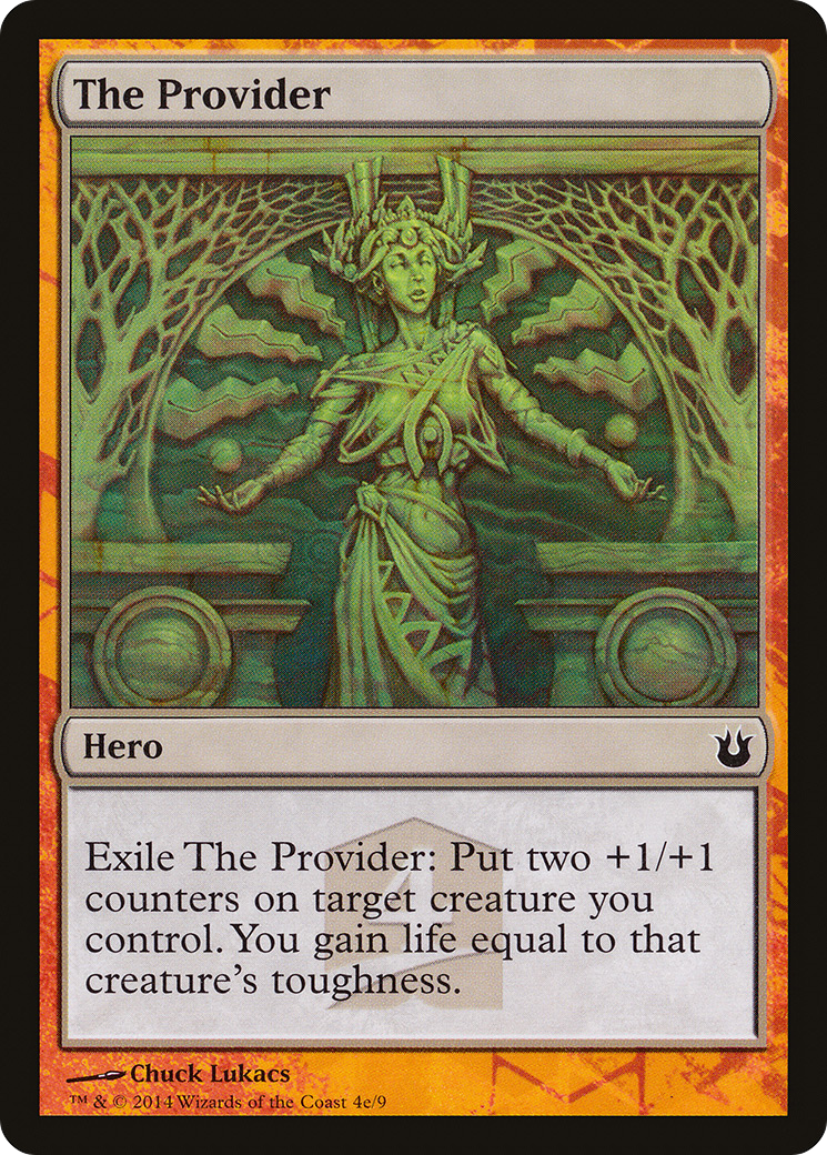 The Provider Card Image