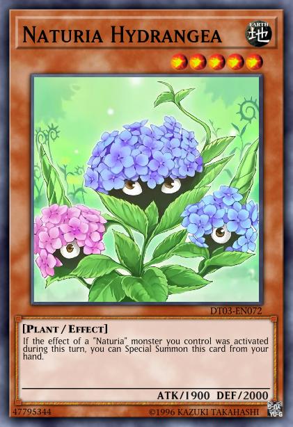 Naturia Hydrangea Card Image