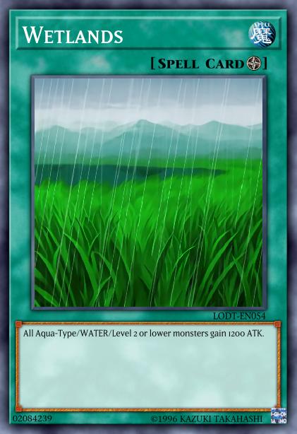 Wetlands Card Image