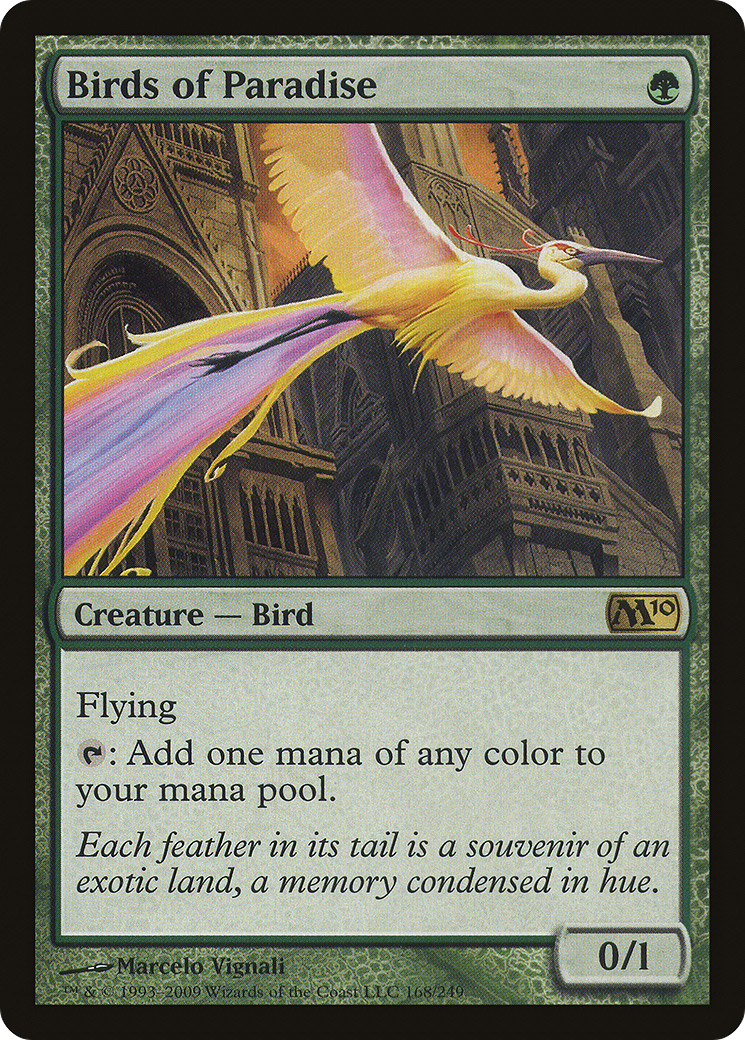 Birds of Paradise Card Image