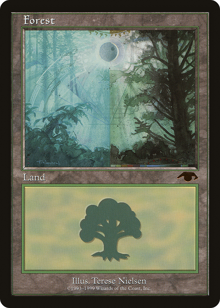 Forest Card Image