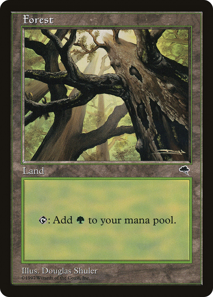 Forest Card Image