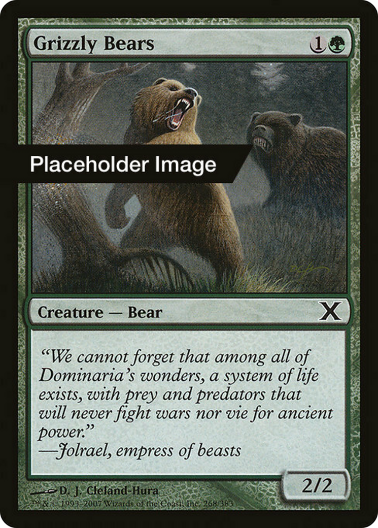 Grizzly Bears Card Image