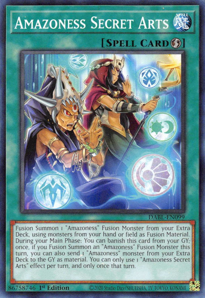 Amazoness Secret Arts Card Image