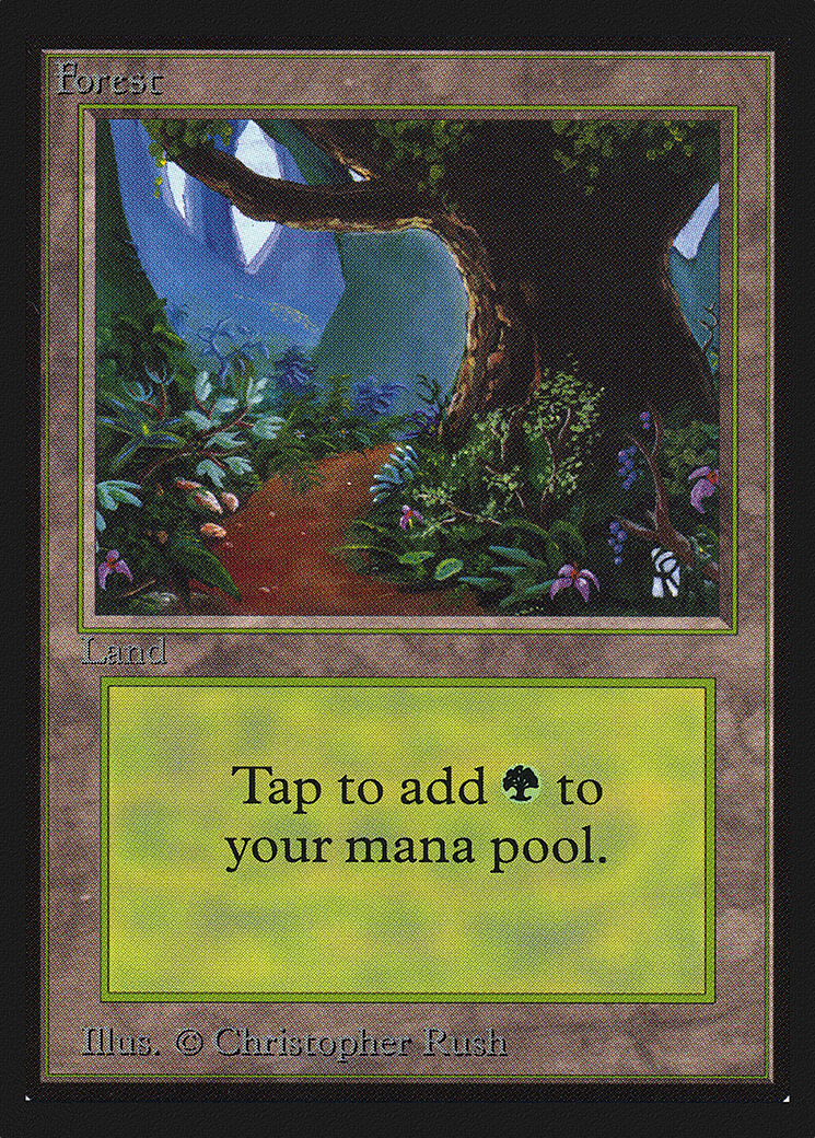 Forest Card Image