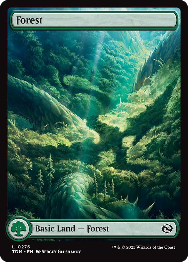 Forest Card Image