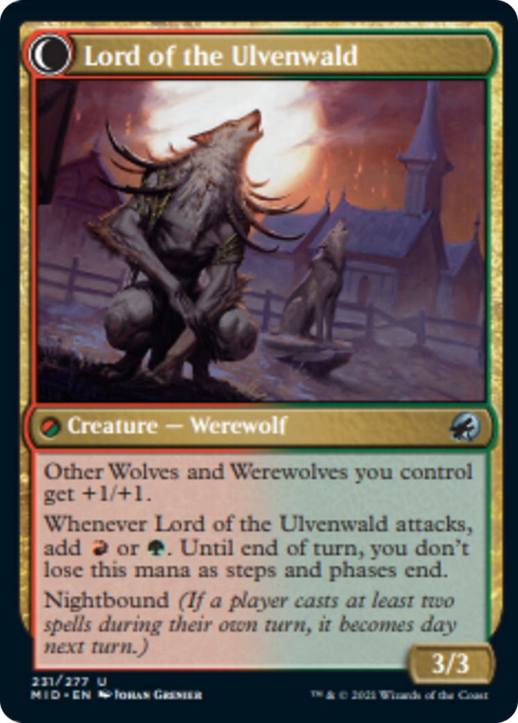 Kessig Naturalist // Lord of the Ulvenwald Card Image