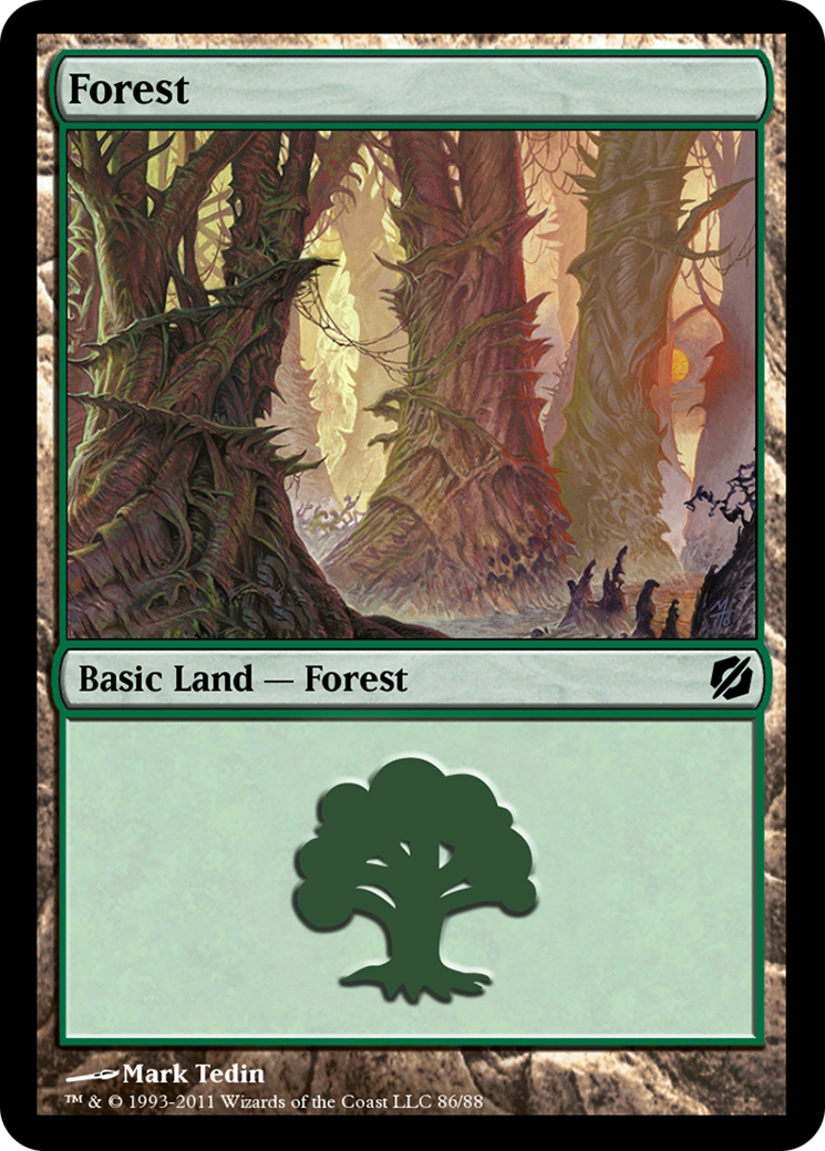 Forest Card Image