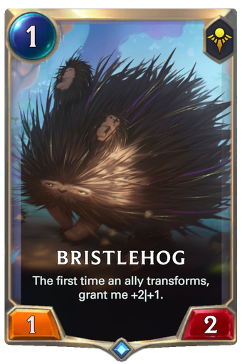 Bristlehog Card Image