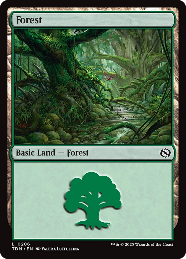 Forest Card Image