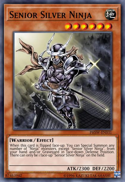 Senior Silver Ninja Card Image